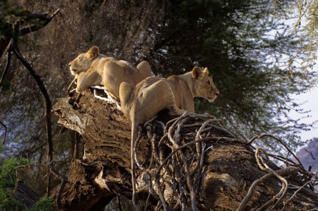 Serengeti National Park