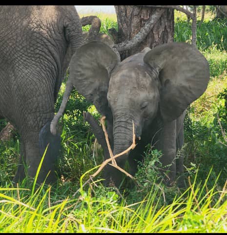 Serengeti National Park