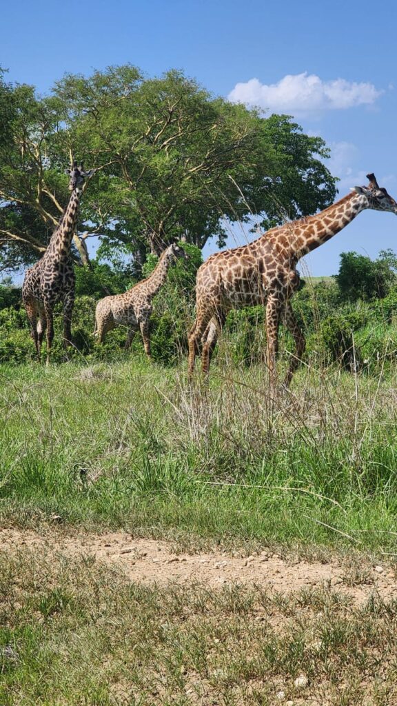 Serengeti National Park