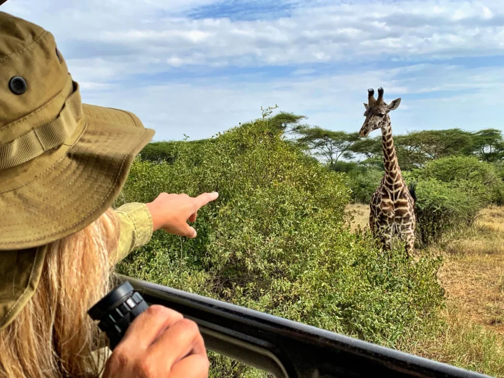 Udzungwa & Mikumi Safari