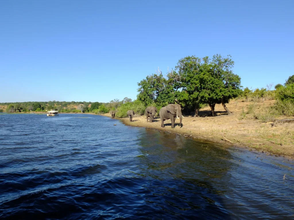 Nyerere (Selous) National Park