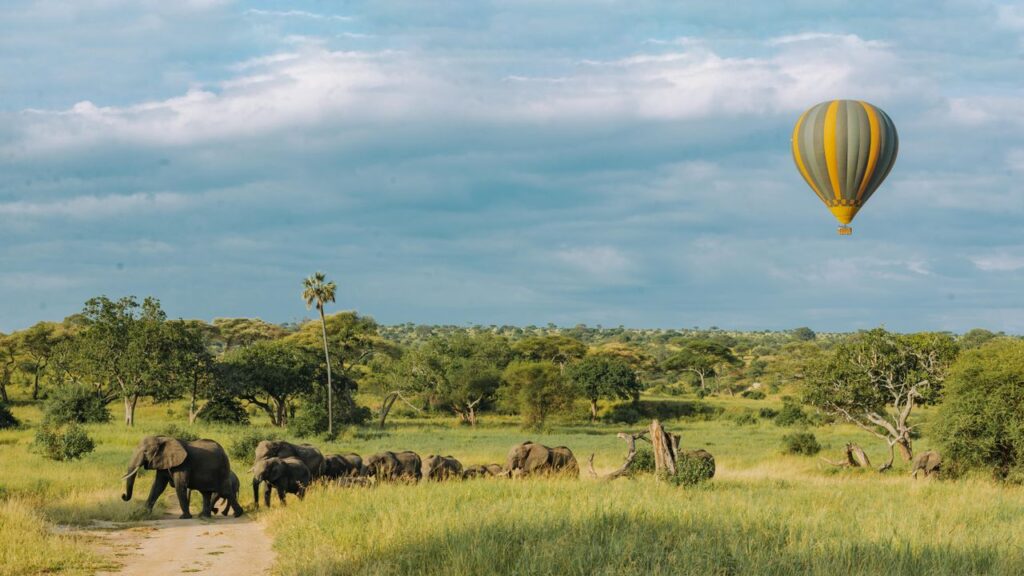 Tarangire National Park