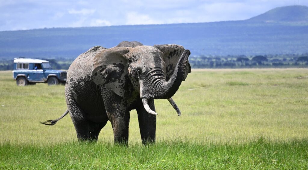 Ngorongoro Crater