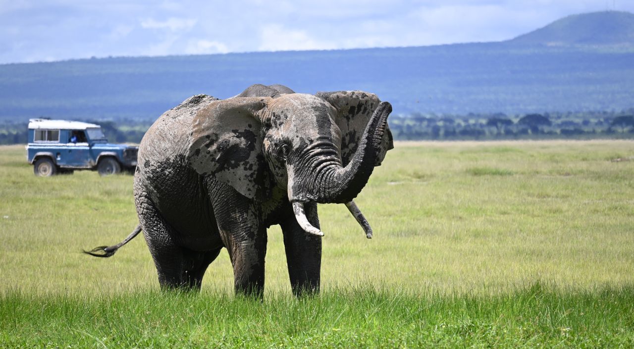 Ngorongoro Crater — Tanzania safari destination